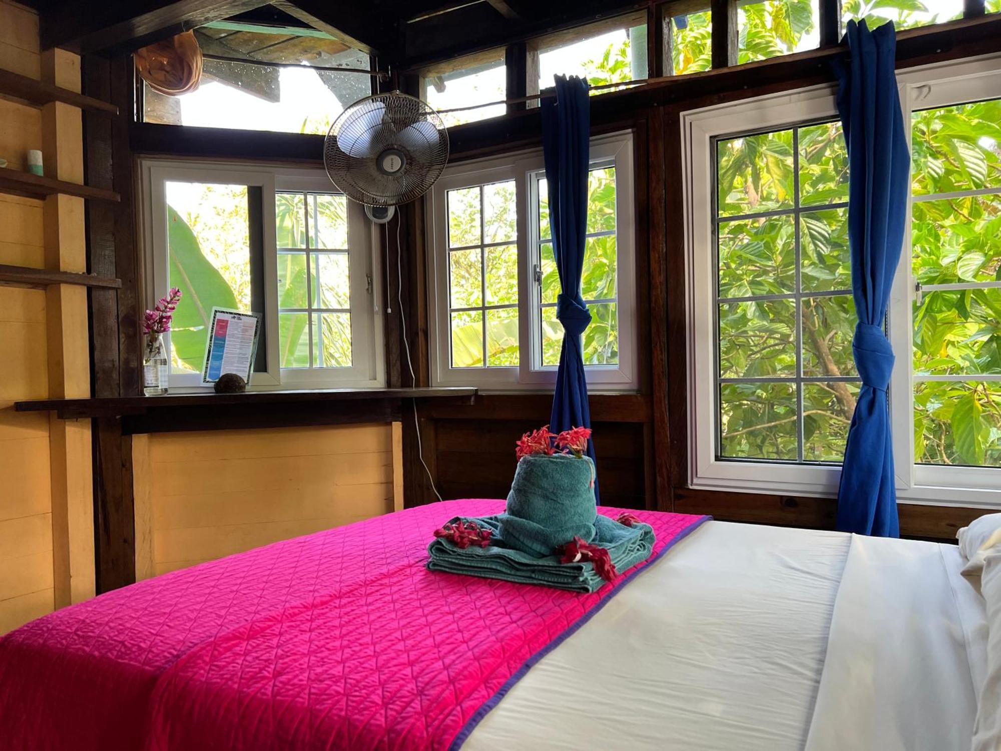Tesoro Escondido Ecolodge Cabinas Бокас-дель-Торо Номер фото